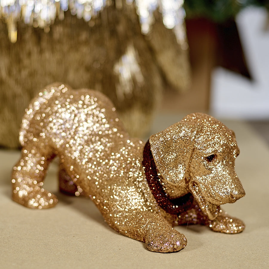 Hund, guld glitter, nikkehoved